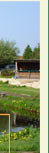 Pension & Forellenhof Lehmhusen